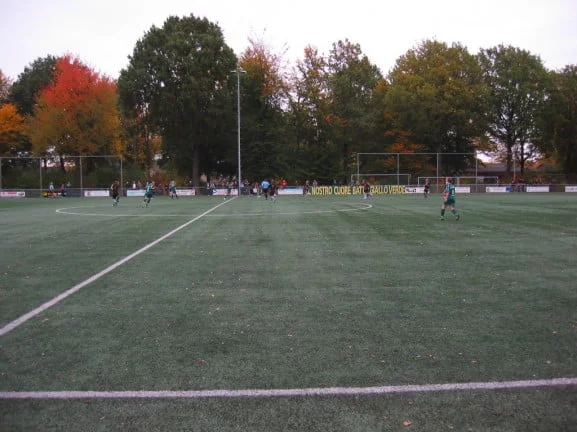 fortuna-dames