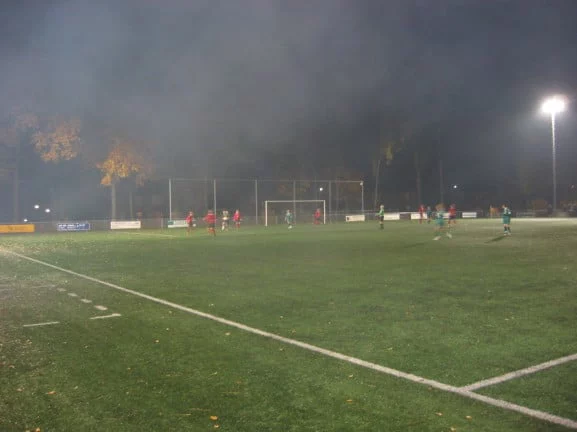 fortuna-dames